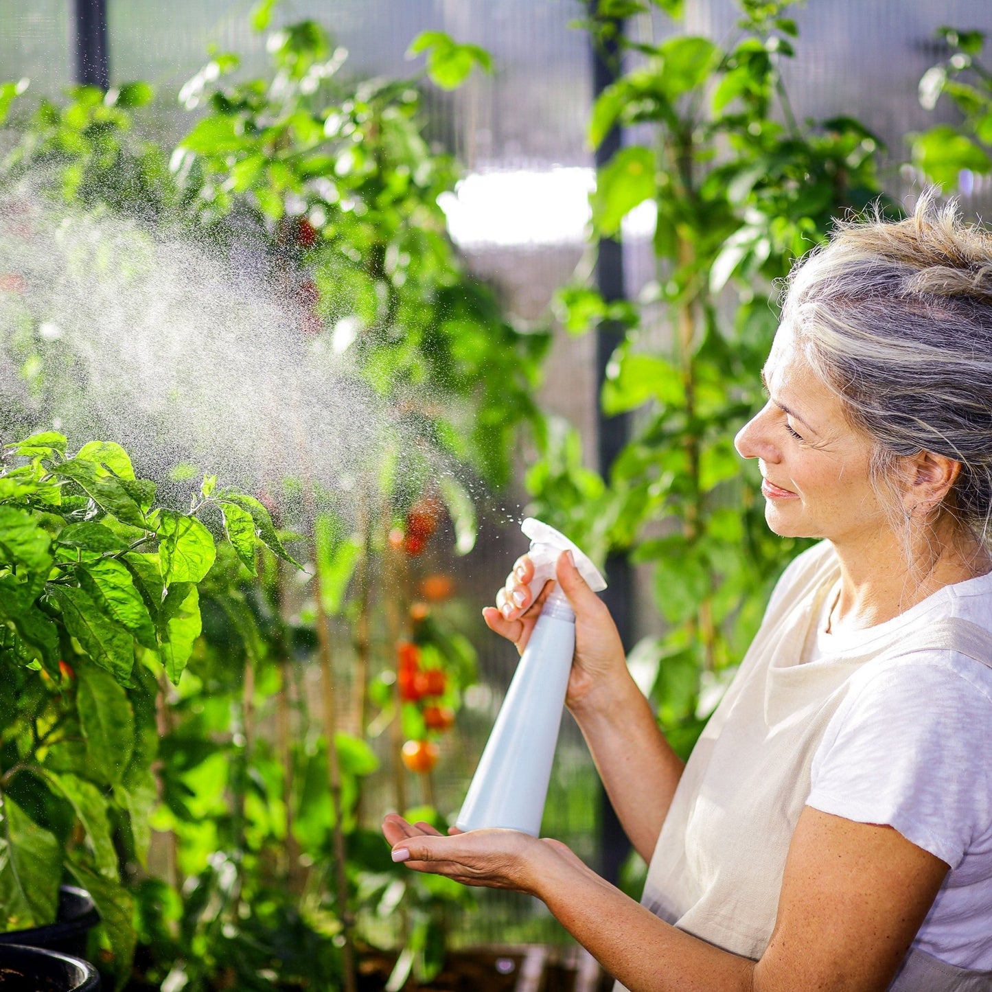 PRE ORDER: OCT. - GLORY 8' x 12' Premium Greenhouse - Grey Frame (2.5m x 3.7m) - mazeproducts