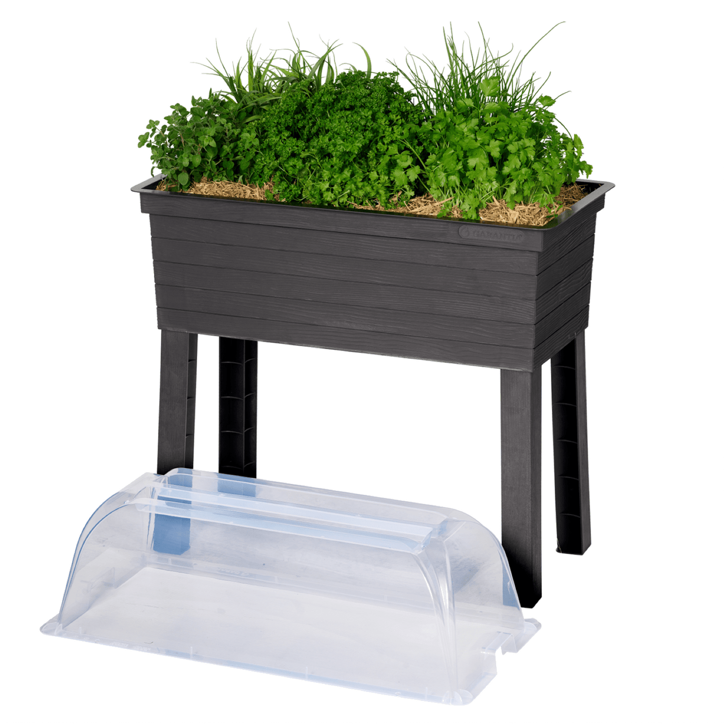 URBAN Raised Planter with Cloche Cover - mazeproducts