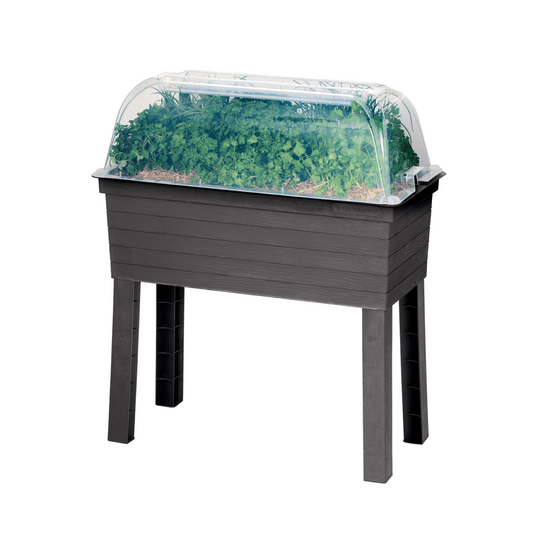 URBAN Raised Planter with Cloche Cover - mazeproducts