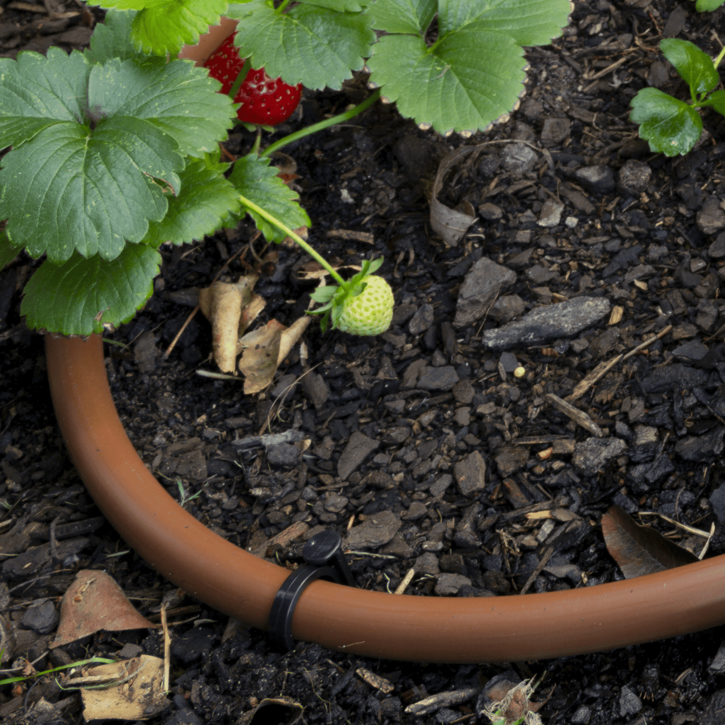 Plastic Ground Spike 13mm - mazeproducts