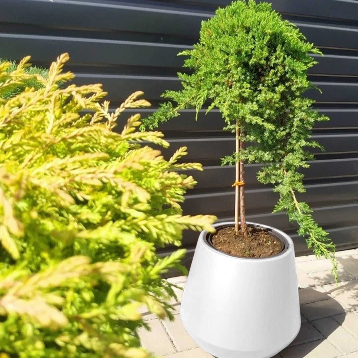 Heos Cone Planter 400 - mazeproducts