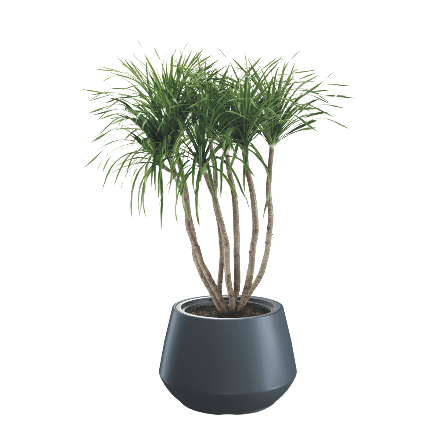 Heos Cone Planter 440 - mazeproducts