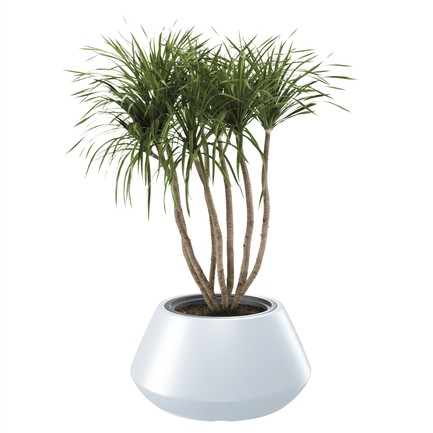 Heos Cone Planter 600 - mazeproducts
