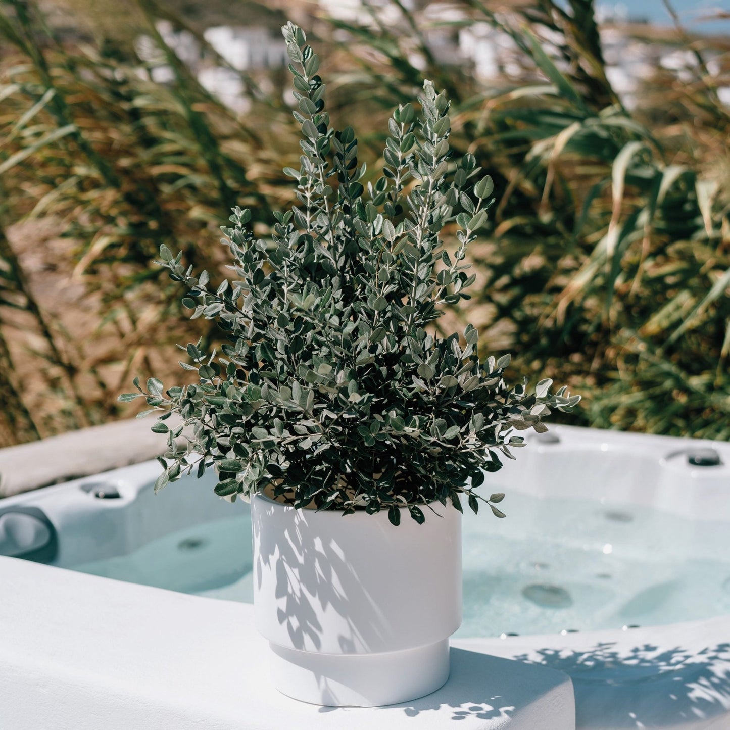 Heos Grace Planter 300 - mazeproducts