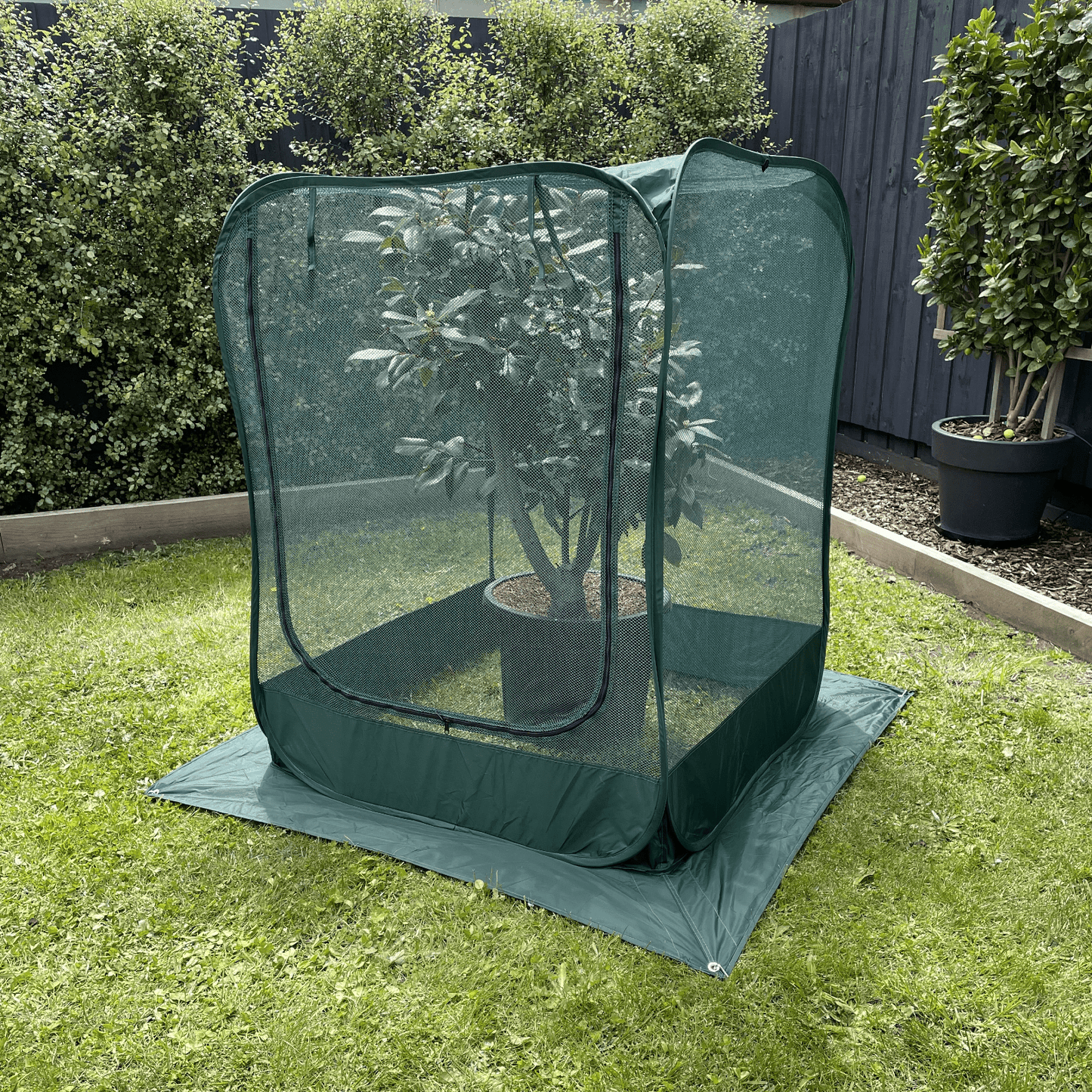 NET Garden Cover - 1m2 x 1.25m High - mazeproducts