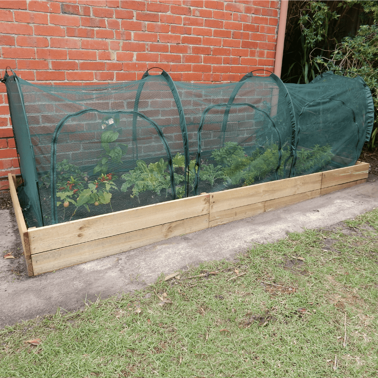 PRE ORDER: DEC. - 3m NET Garden Tunnel - mazeproducts