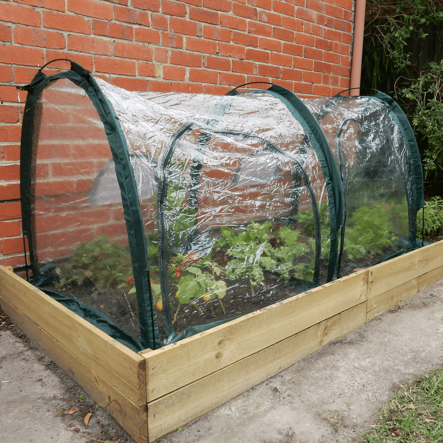 2m POLY Garden Tunnel - mazeproducts