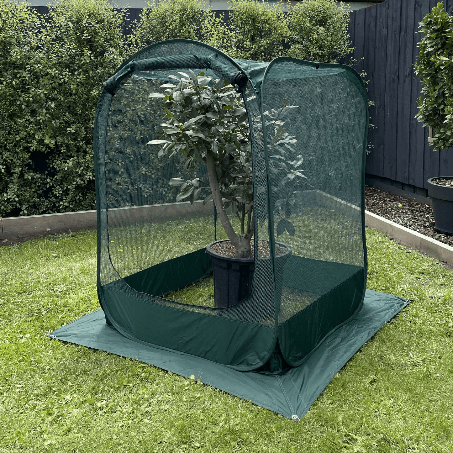 NET Garden Cover - 1m2 x 1.25m High - mazeproducts