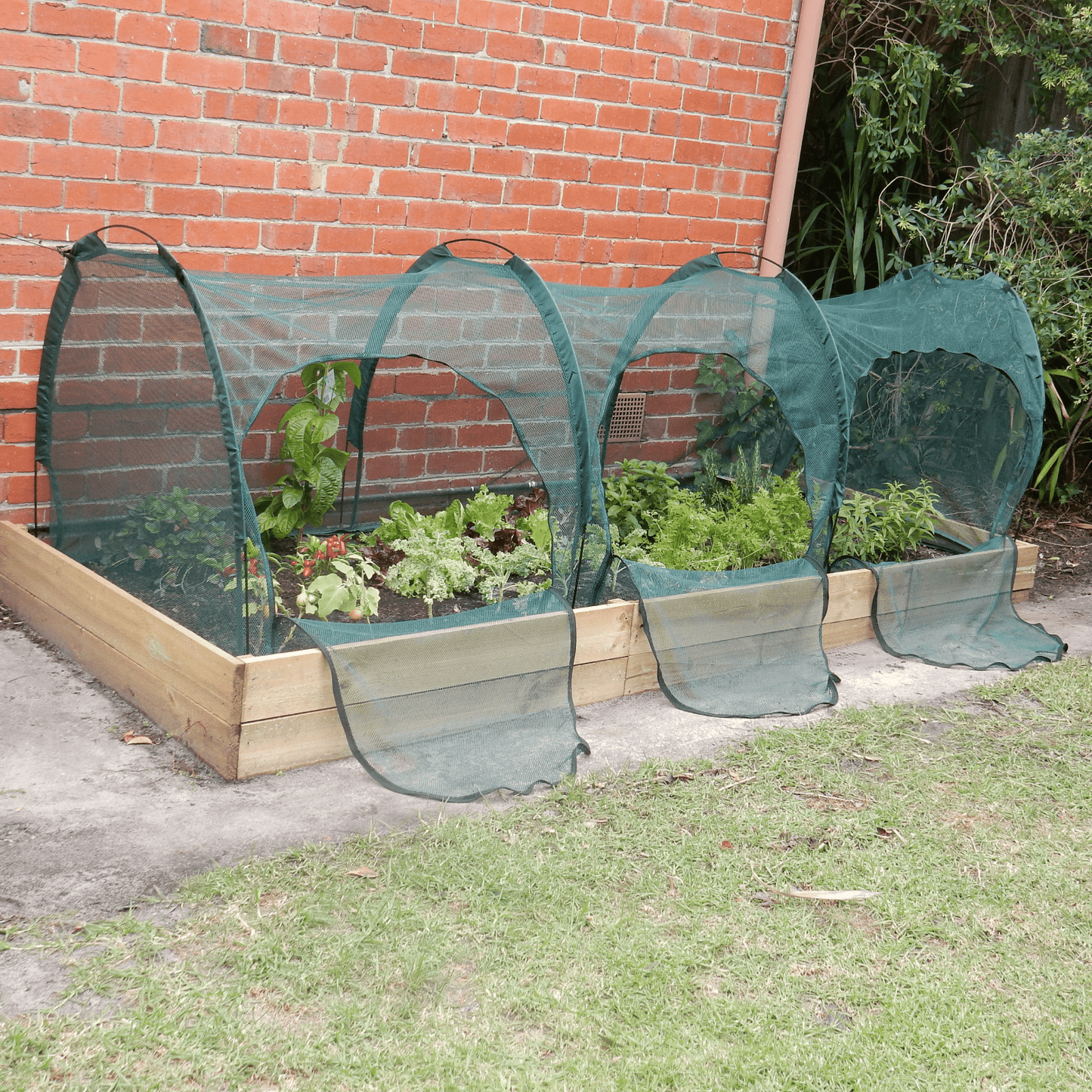 PRE ORDER: DEC. - 3m NET Garden Tunnel - mazeproducts