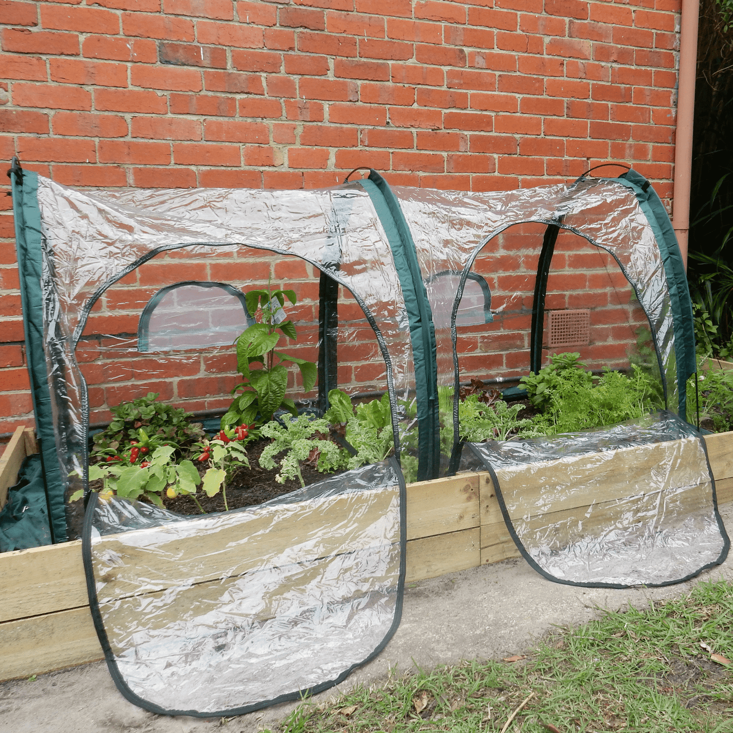 2m POLY Garden Tunnel - mazeproducts