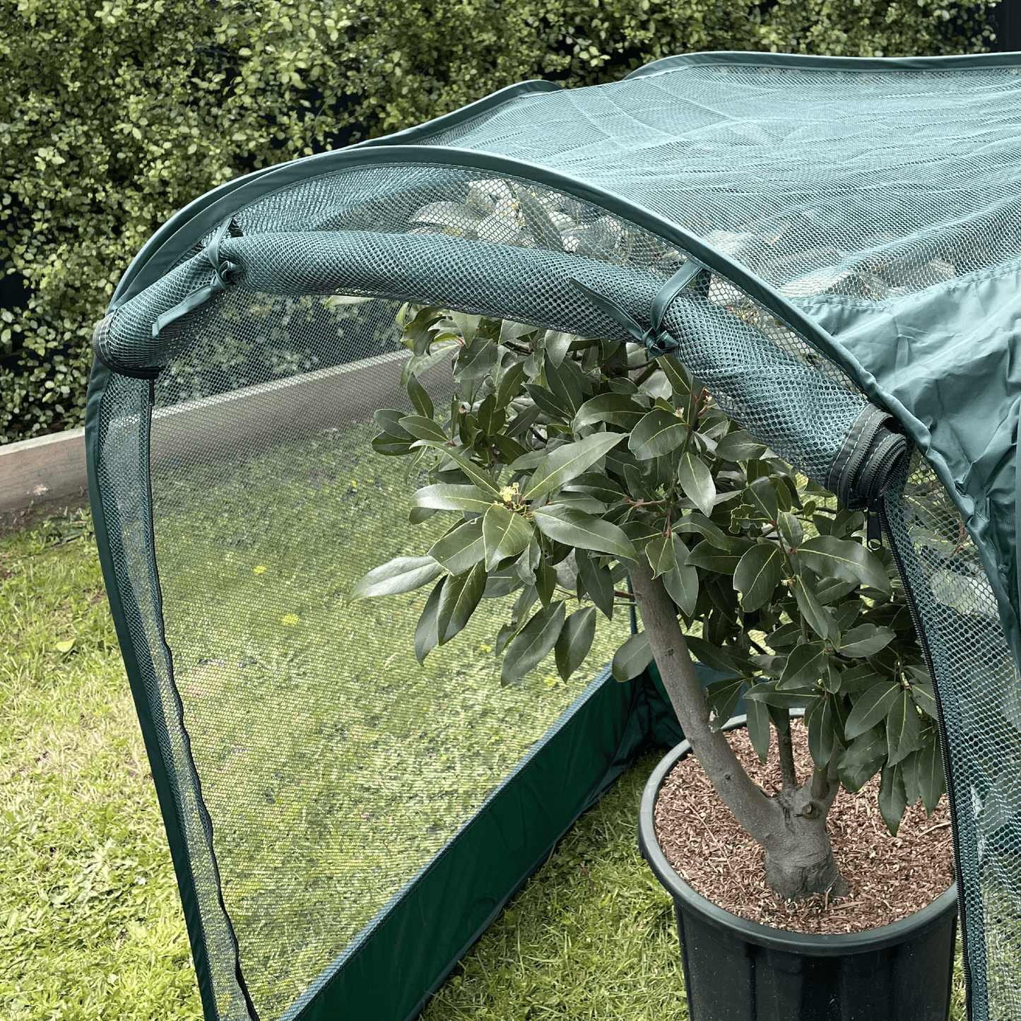 NET Garden Cover - 1m2 x 1.25m High - mazeproducts