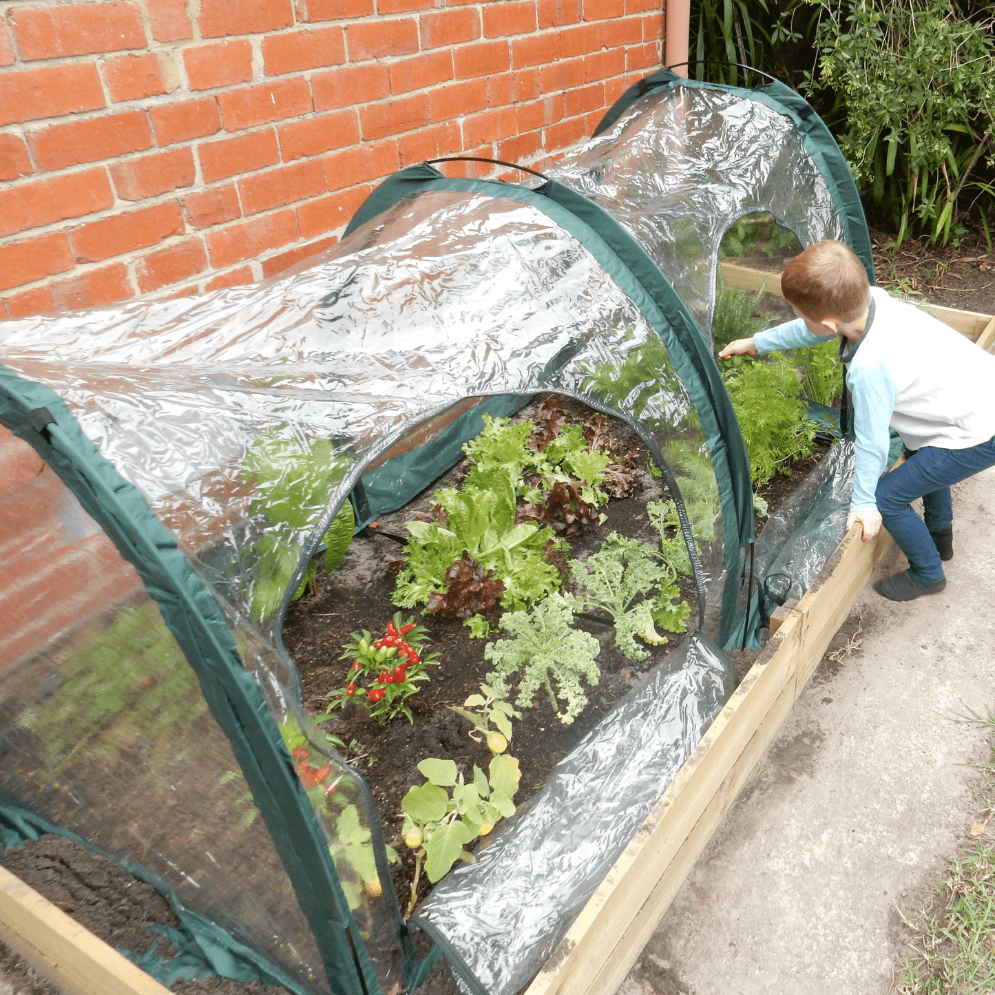 2m POLY Garden Tunnel - mazeproducts