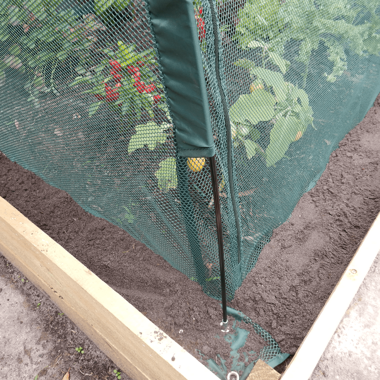 2m NET Garden Tunnel - mazeproducts