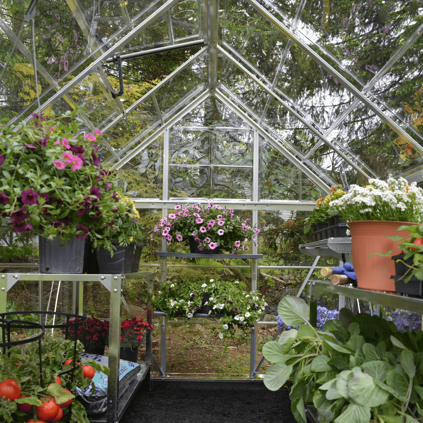 6' x 6' Harmony Greenhouse (1.9m x 1.9m) - mazeproducts