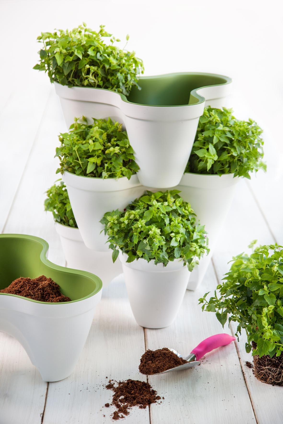 Keter Ivy Planter - White / Green - 5 Pack - mazeproducts