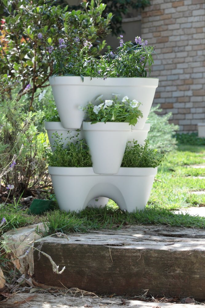 Keter Ivy Planter - White / Green - 3 Pack - mazeproducts