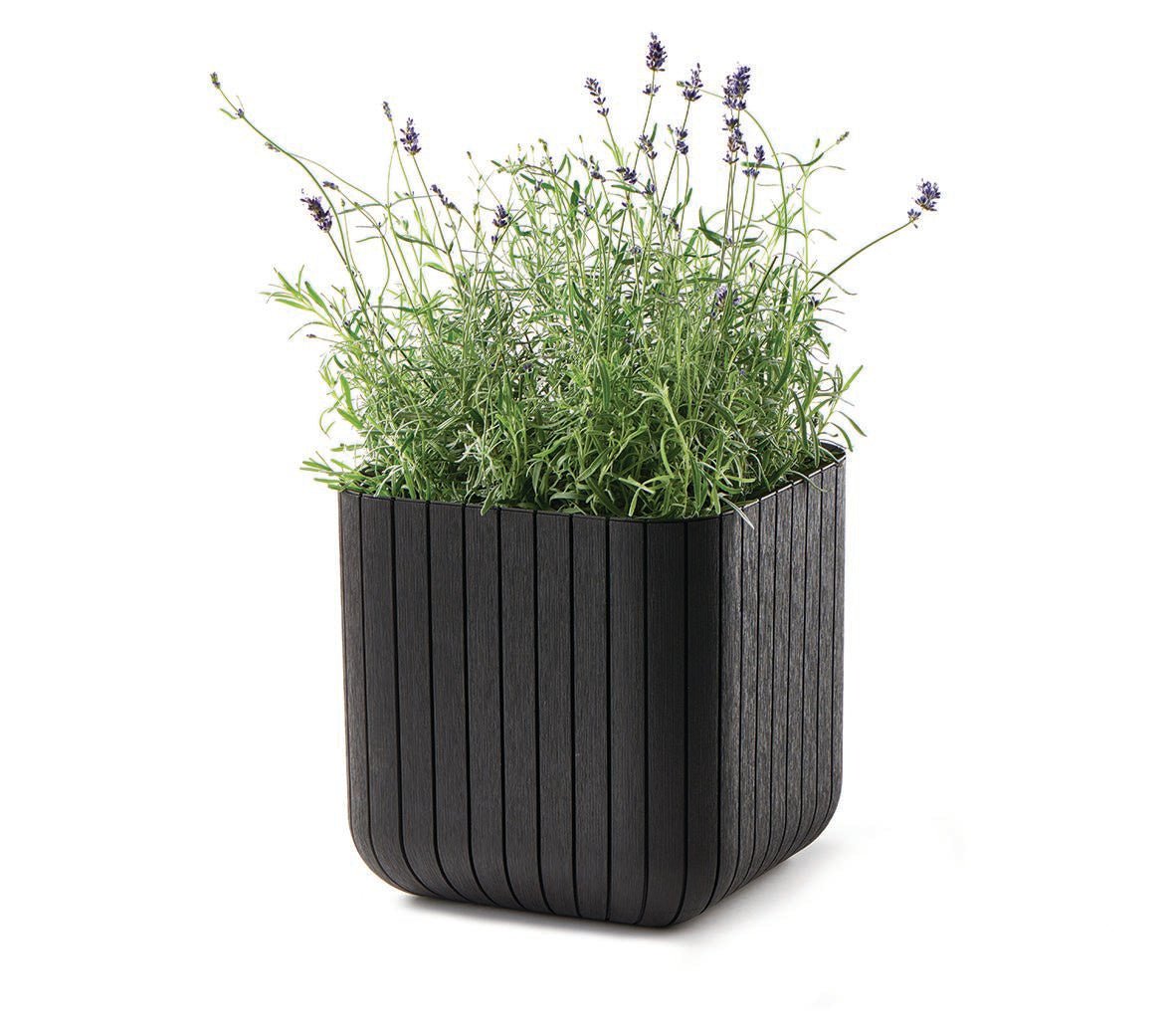 Keter Cube Planter - Brown (Small) - 3 Pack - mazeproducts