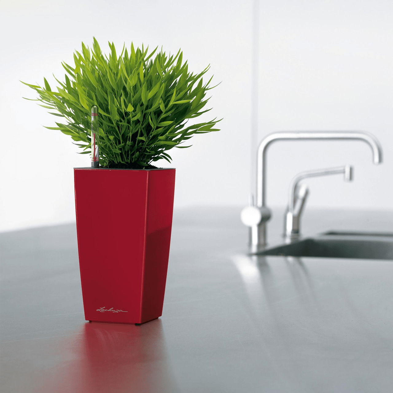 MAXI CUBI - mazeproducts