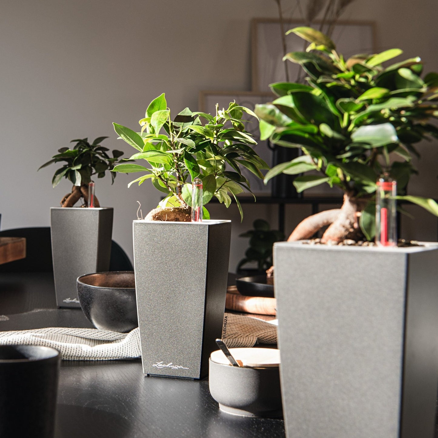 MAXI CUBI - mazeproducts