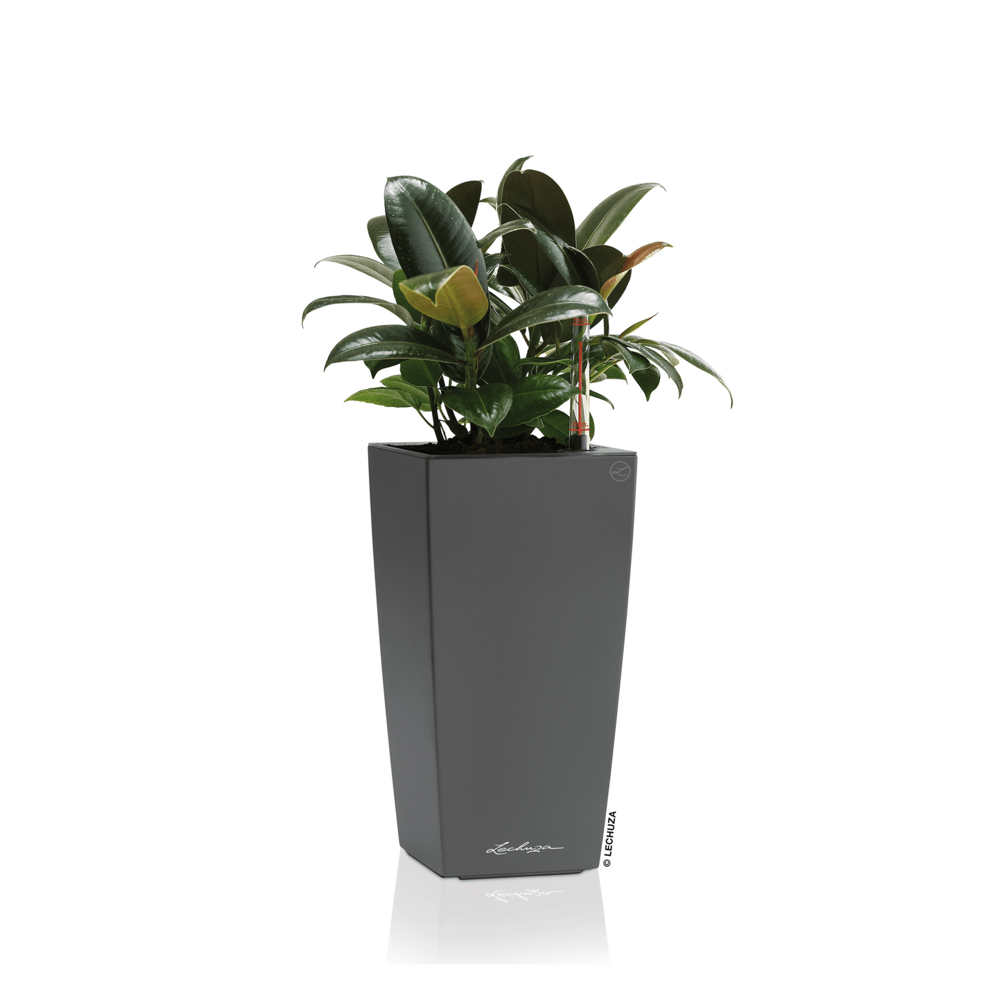 MAXI CUBI - mazeproducts