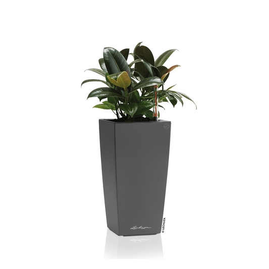 MAXI CUBI - mazeproducts