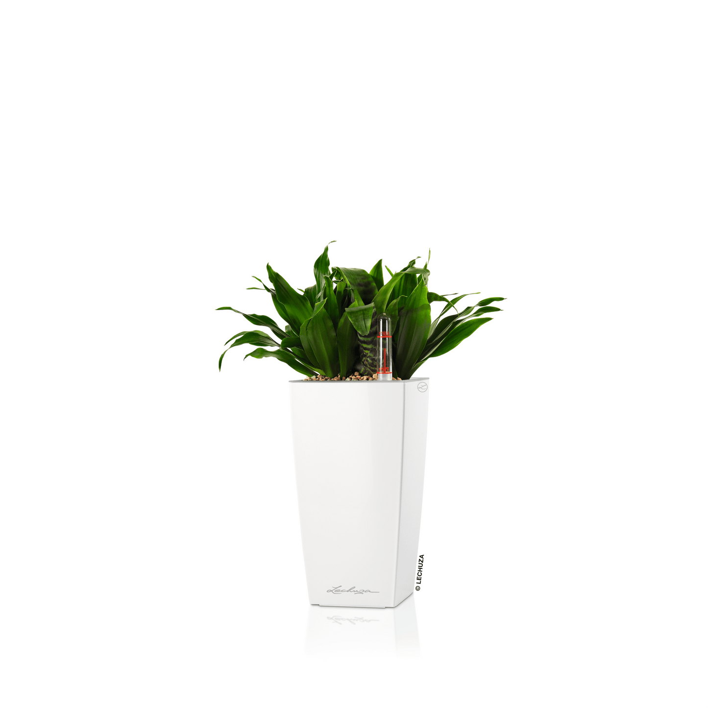 MINI CUBI - mazeproducts