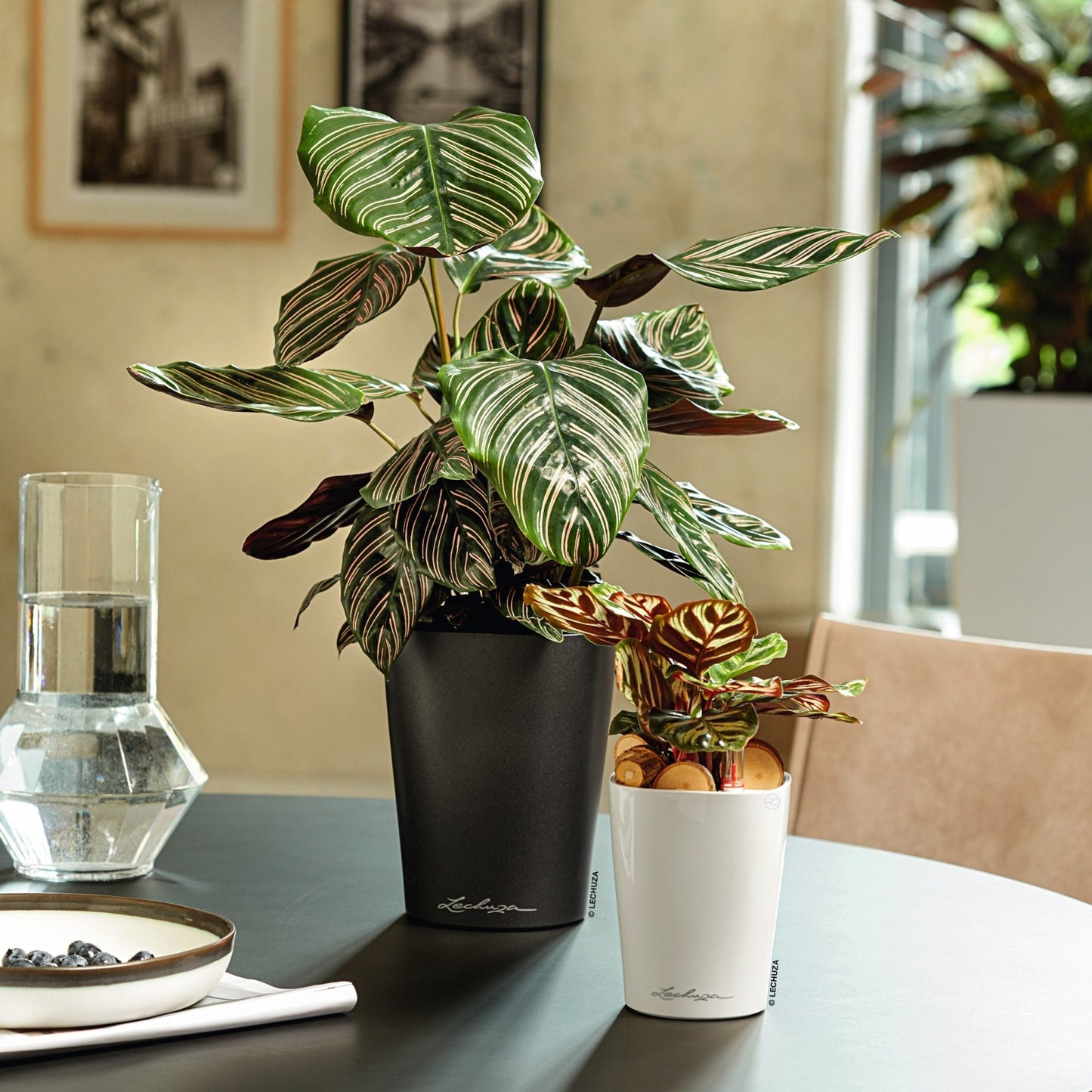 MINI DELTINI - mazeproducts