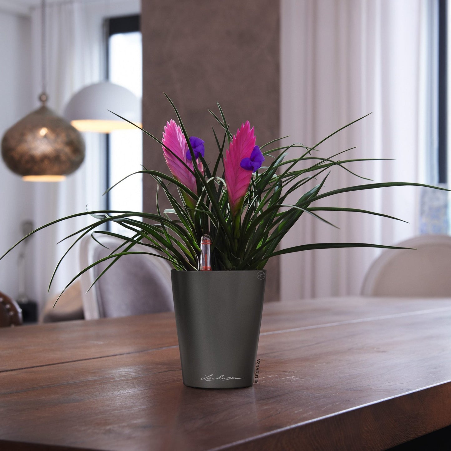 MINI DELTINI - mazeproducts