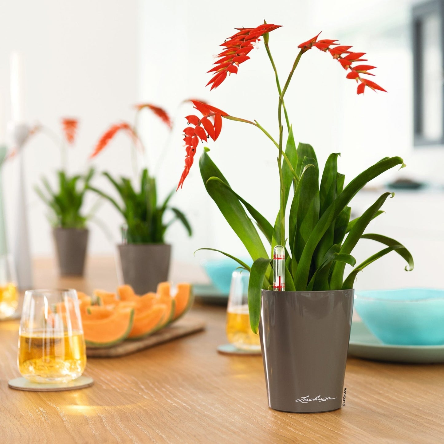 MINI DELTINI - mazeproducts