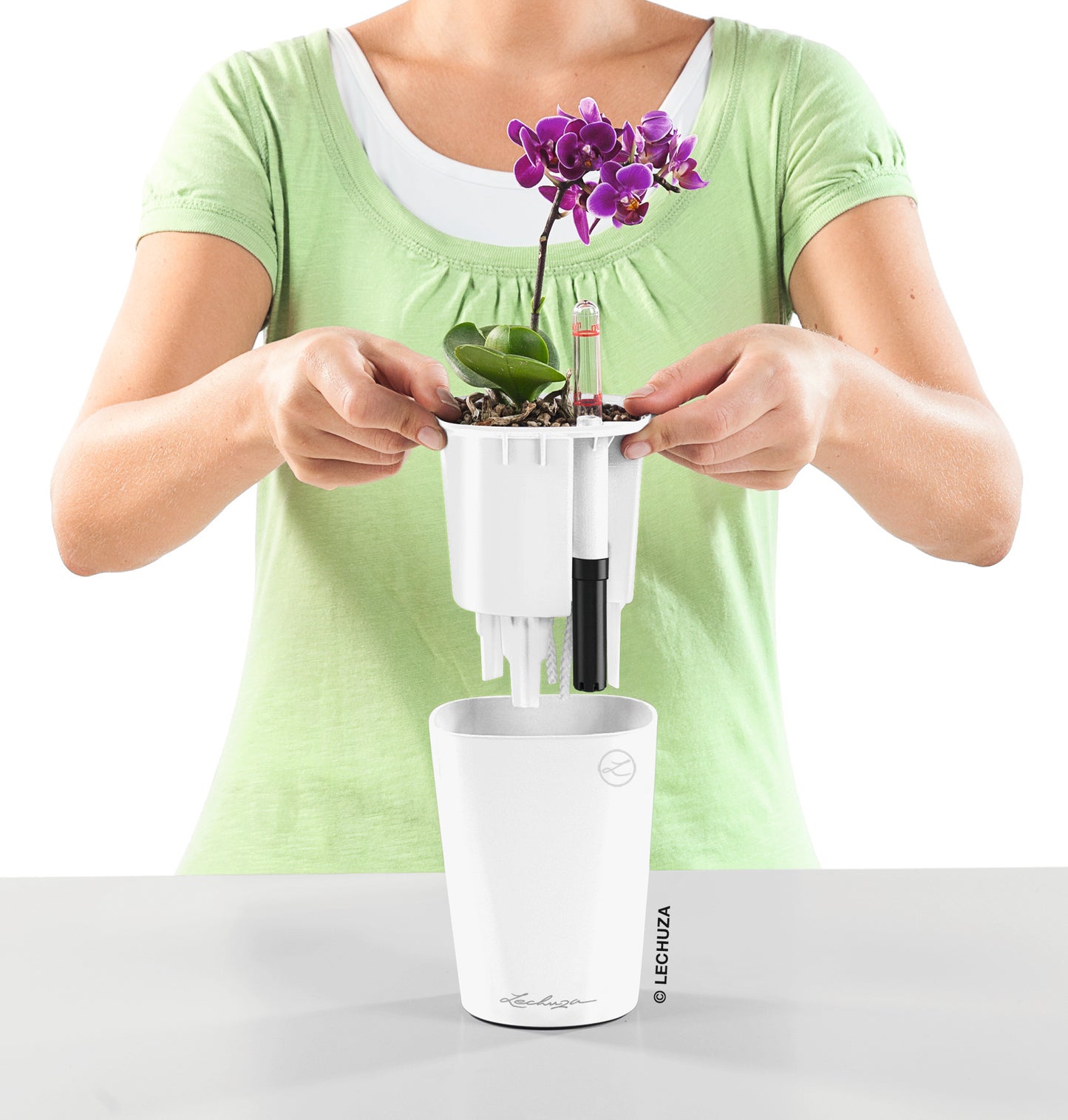 MINI DELTINI - mazeproducts