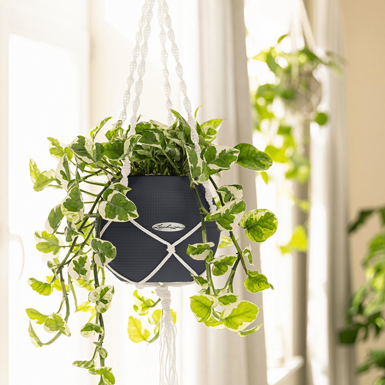 Macramé Hanger - mazeproducts