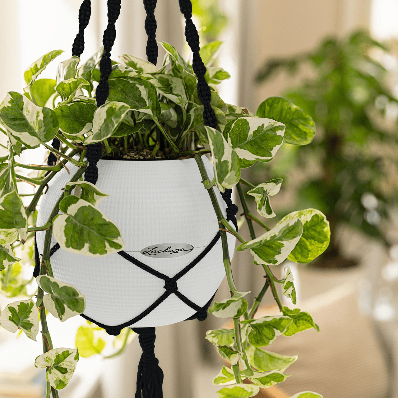 Macramé Hanger - mazeproducts