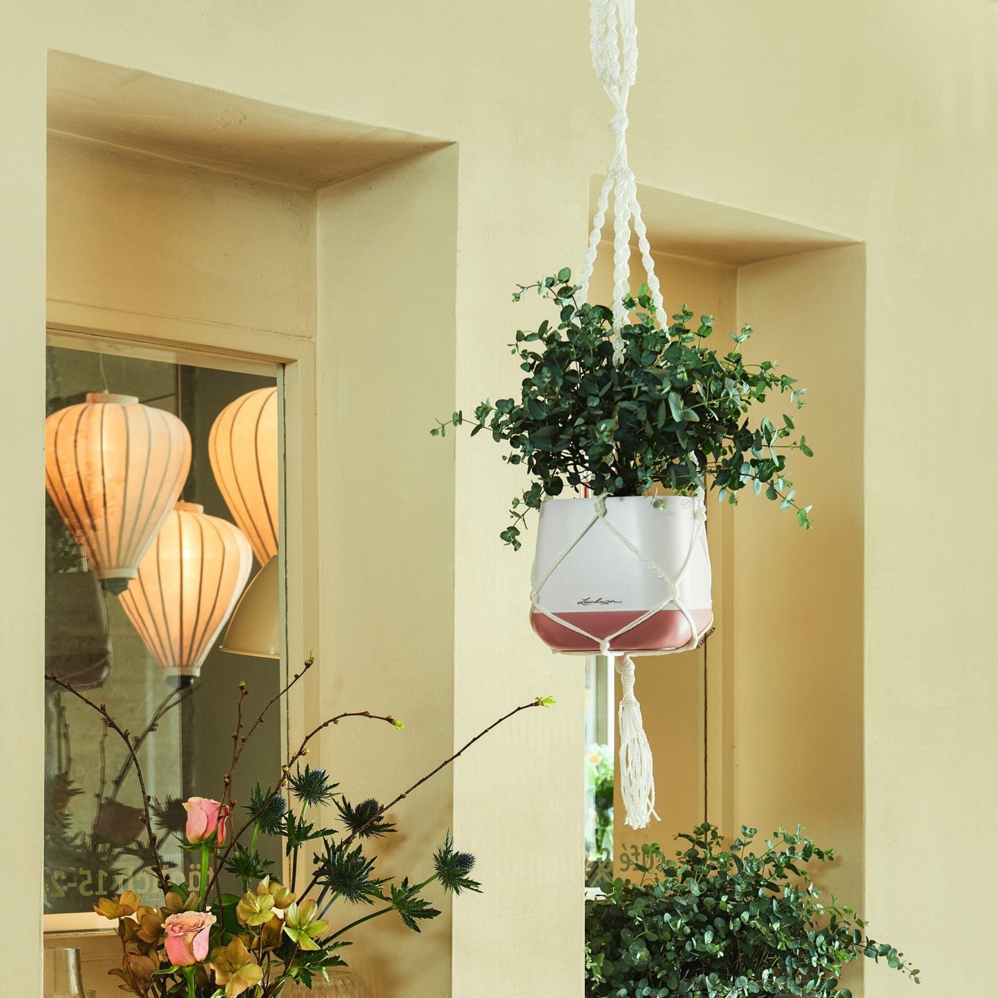 Macramé Hanger - mazeproducts