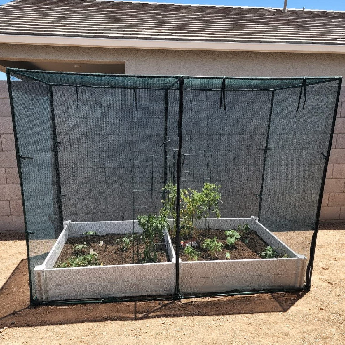 NET Crop Protection Cage - Medium - mazeproducts