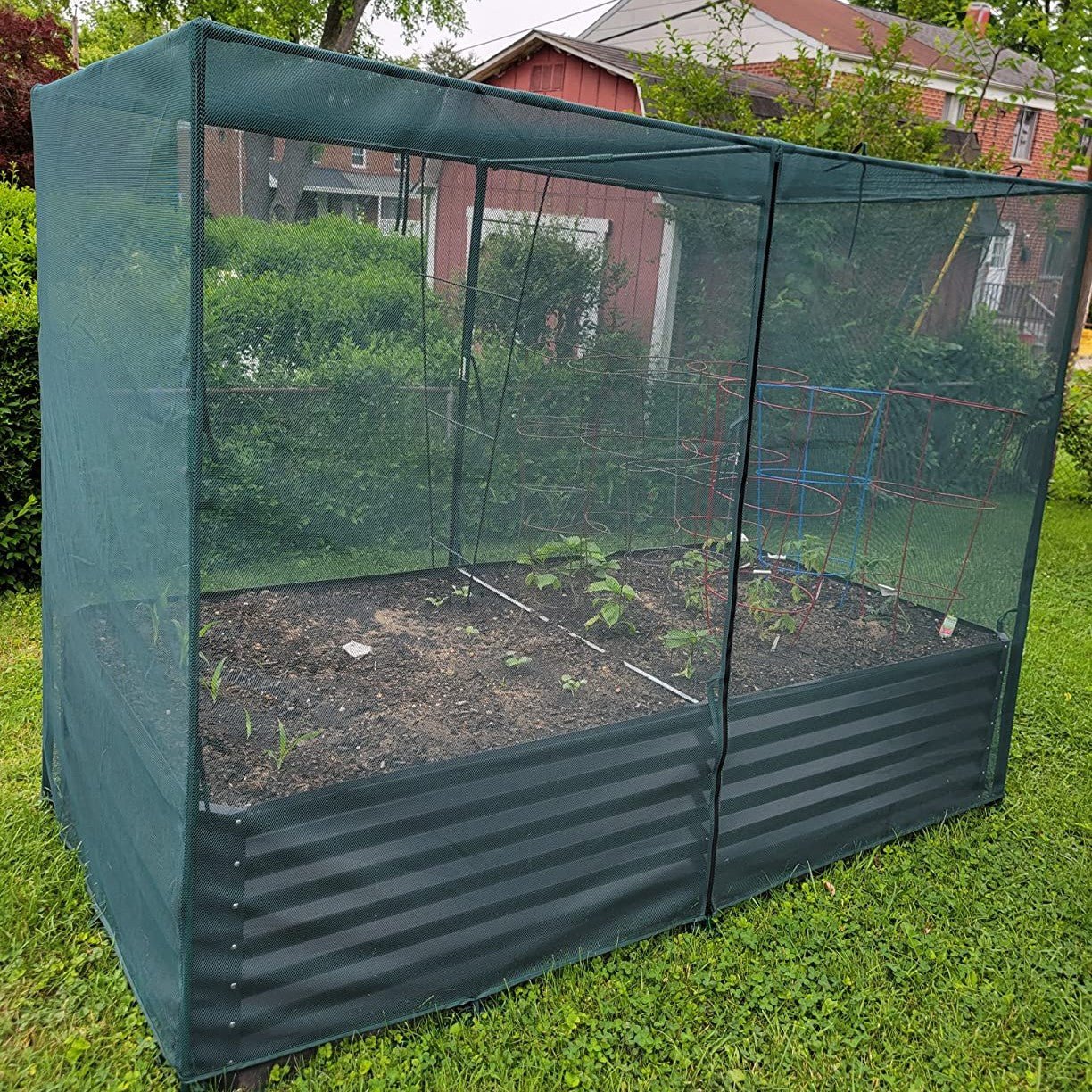 NET Crop Protection Cage - Medium - mazeproducts
