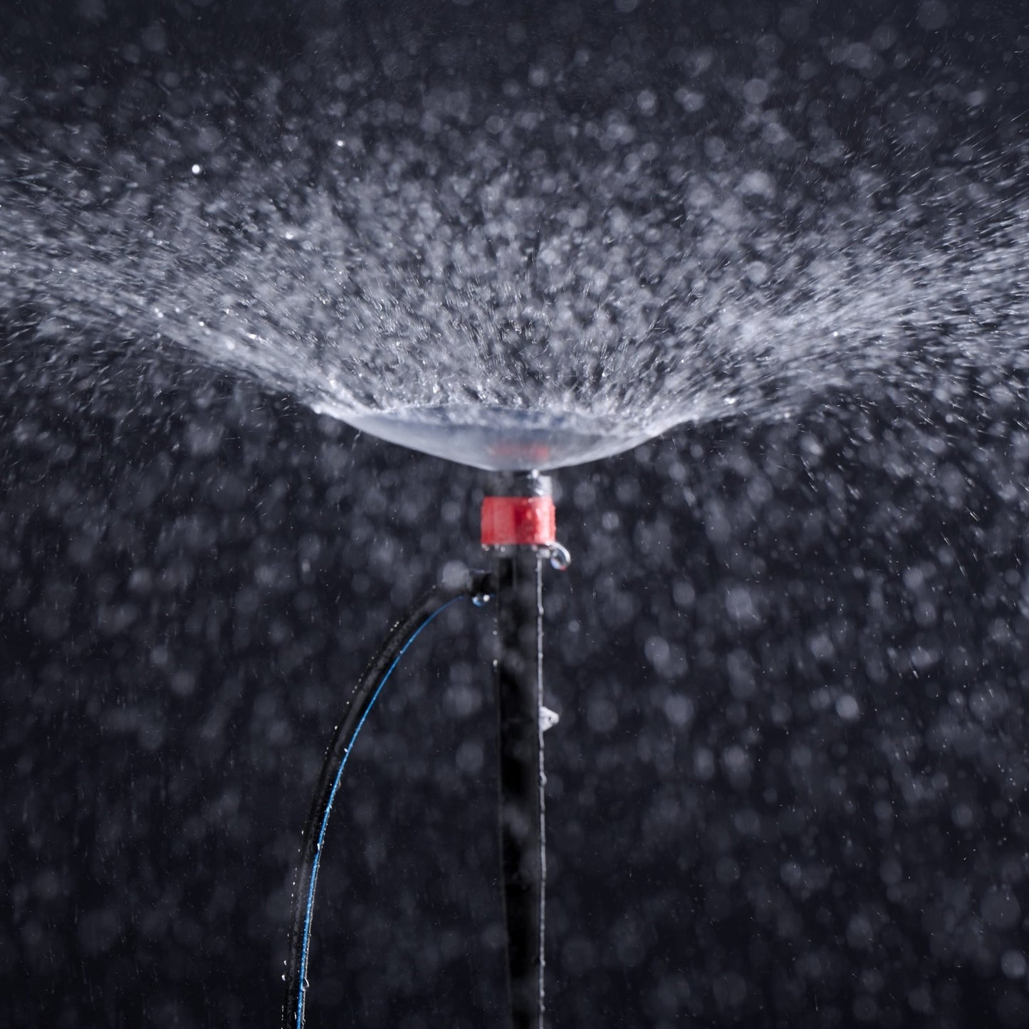 60 x Micro Sprayers with 50m Polytube Kit - mazeproducts