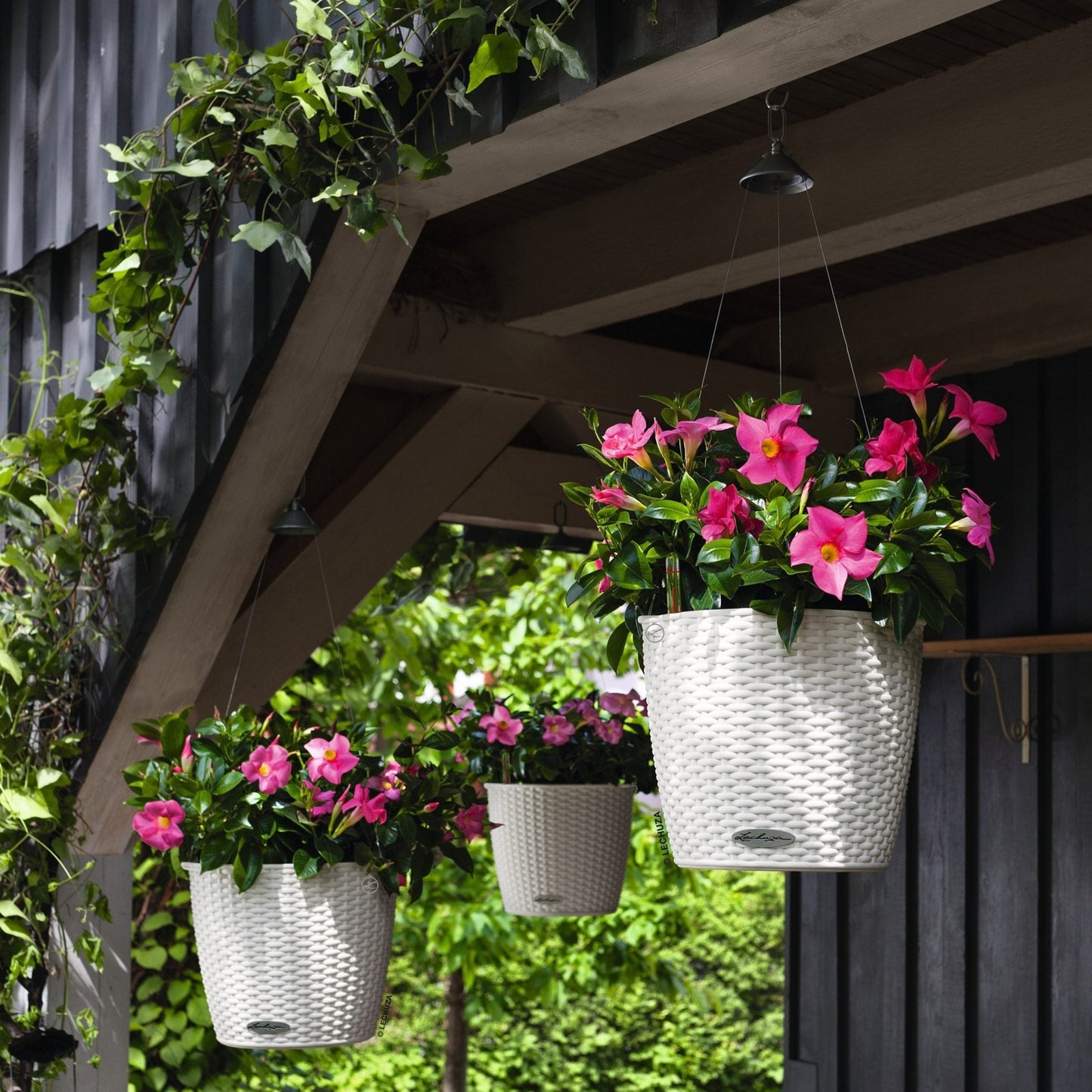 NIDO Cottage 28 Hanging Planter - mazeproducts