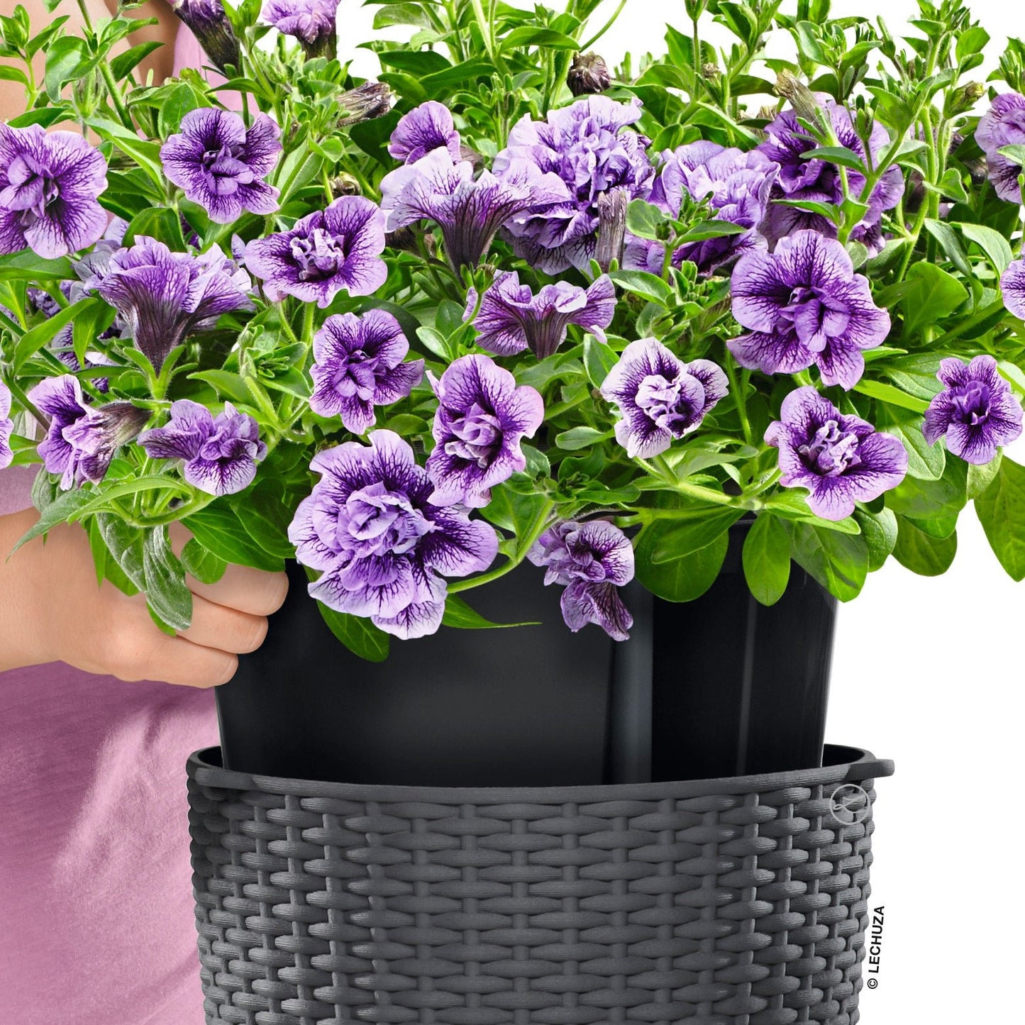 NIDO Cottage 28 Hanging Planter - mazeproducts