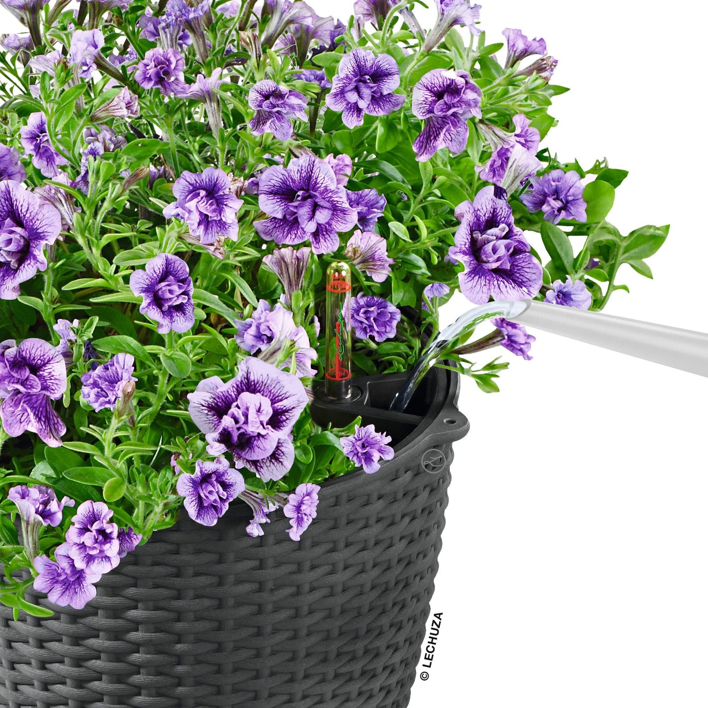 NIDO Cottage 28 Hanging Planter - mazeproducts