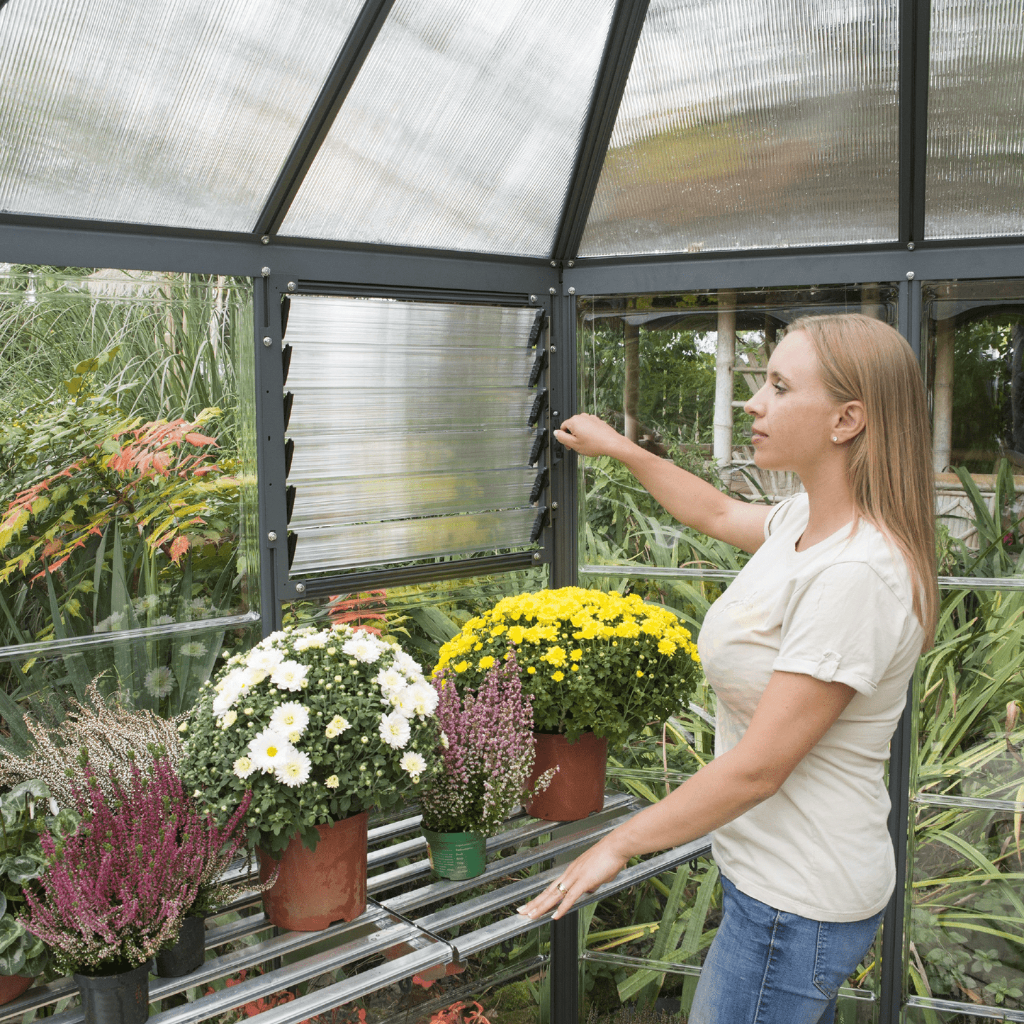 12' Oasis Hex Greenhouse - Grey Frame (3.7m x 3.2m) - mazeproducts