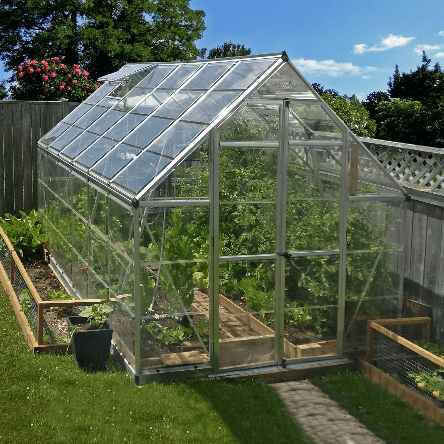 8' x 12' Octave Greenhouse - Clear Roof (2.5m x 3.7m) - mazeproducts