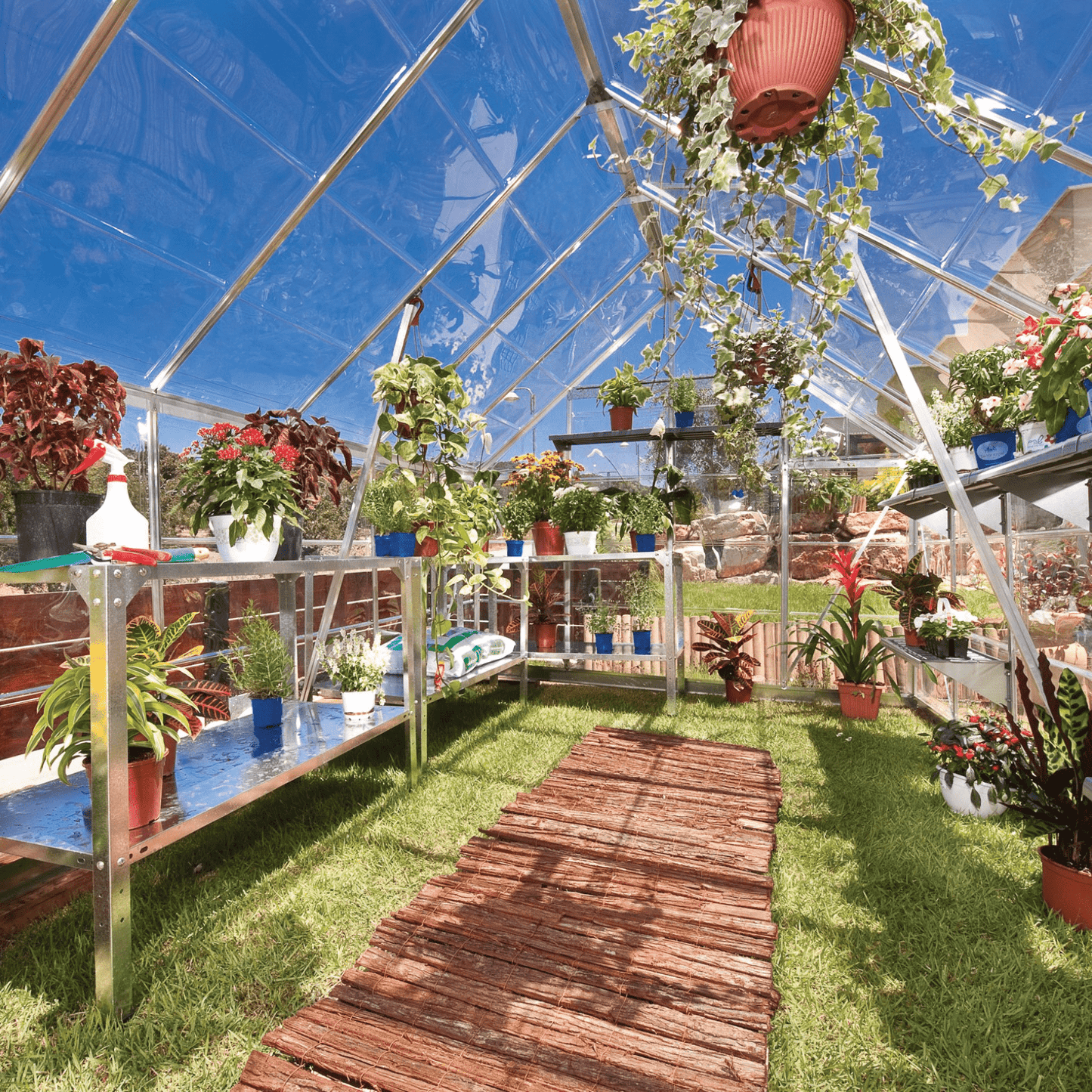 8' x 12' Octave Greenhouse - Clear Roof (2.5m x 3.7m) - mazeproducts