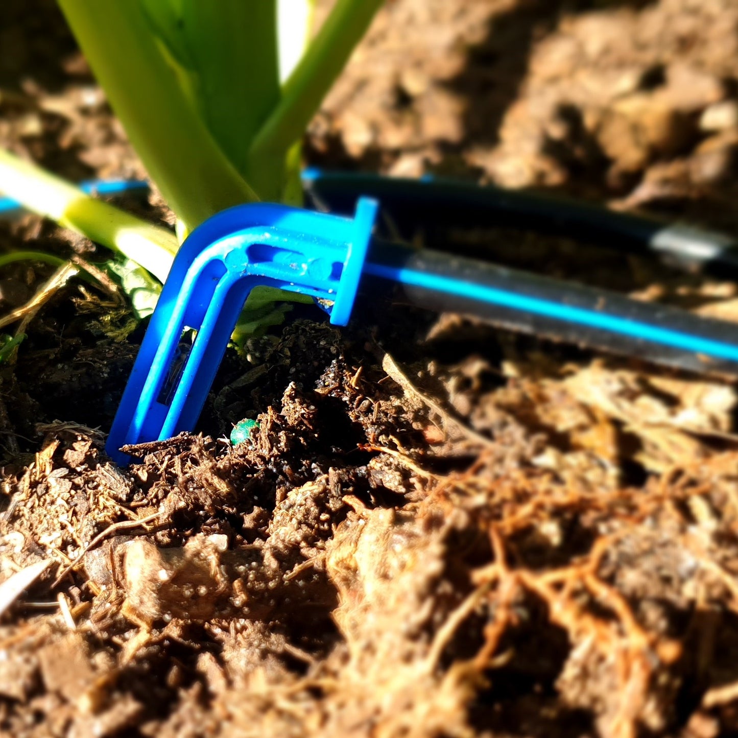 40 x PC Drippers & 30 x Twin Arrow Drippers with 25m Polytube Kit - mazeproducts