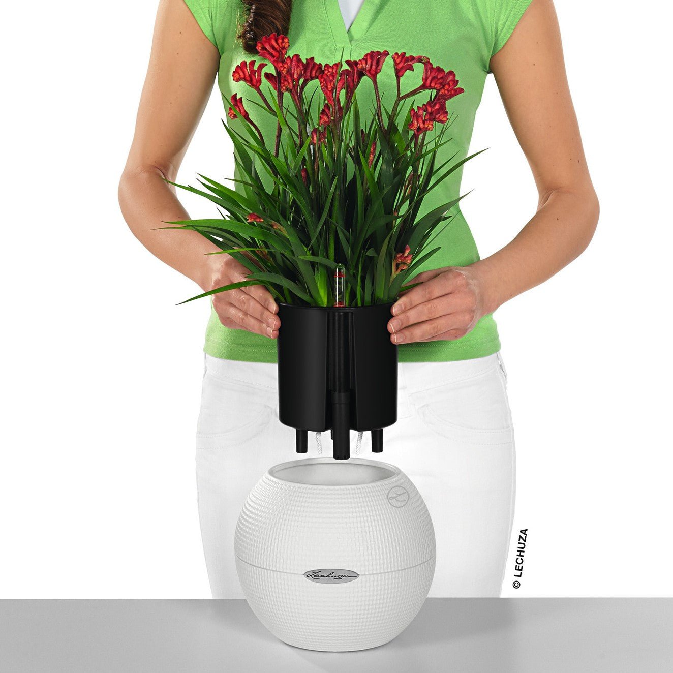 PURO Color 20 - mazeproducts