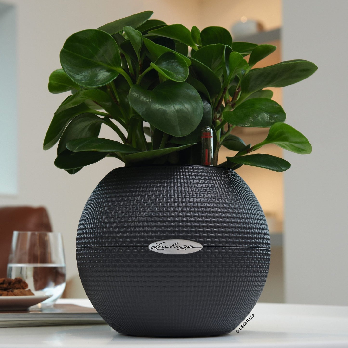 PURO Color 20 - mazeproducts