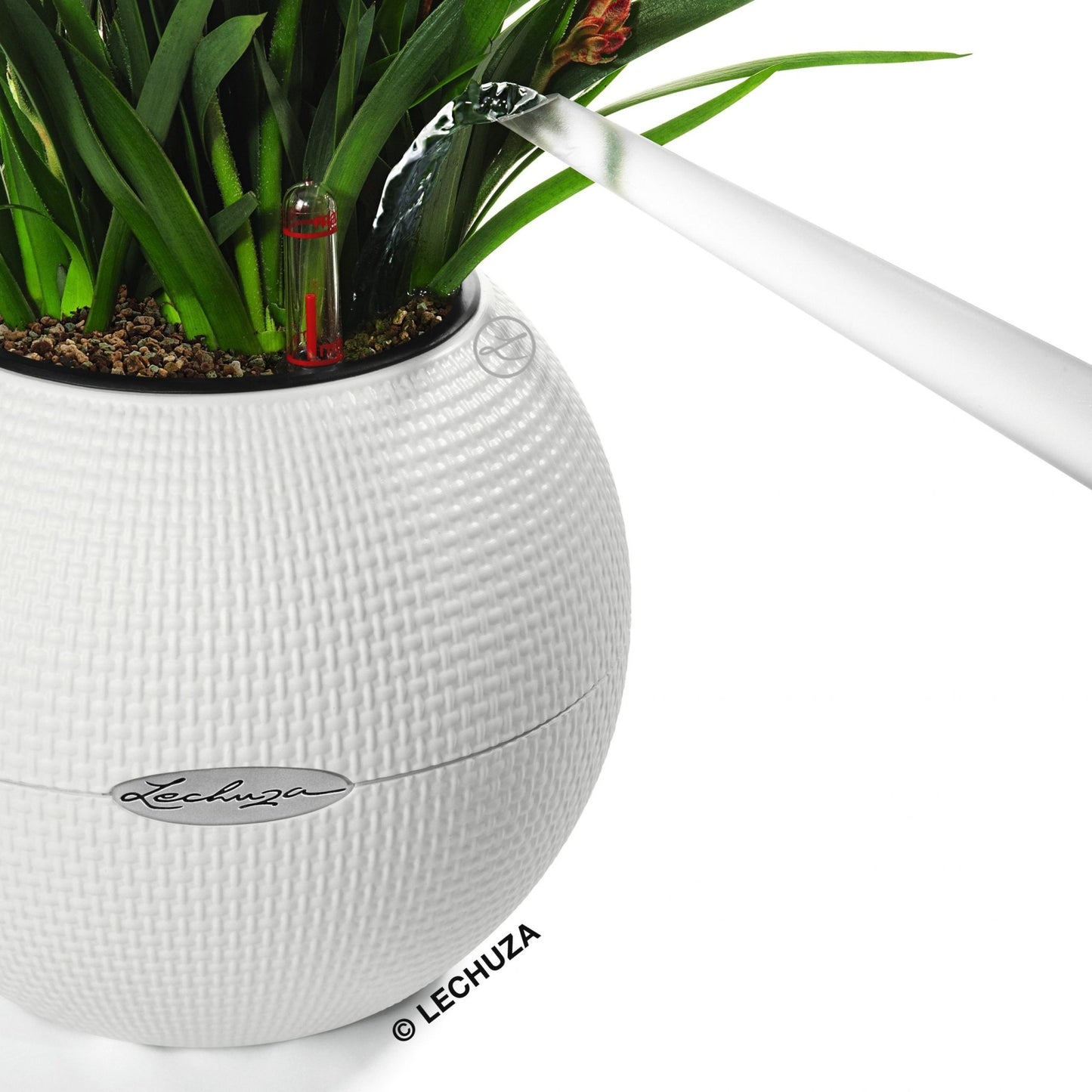 PURO Color 20 - mazeproducts