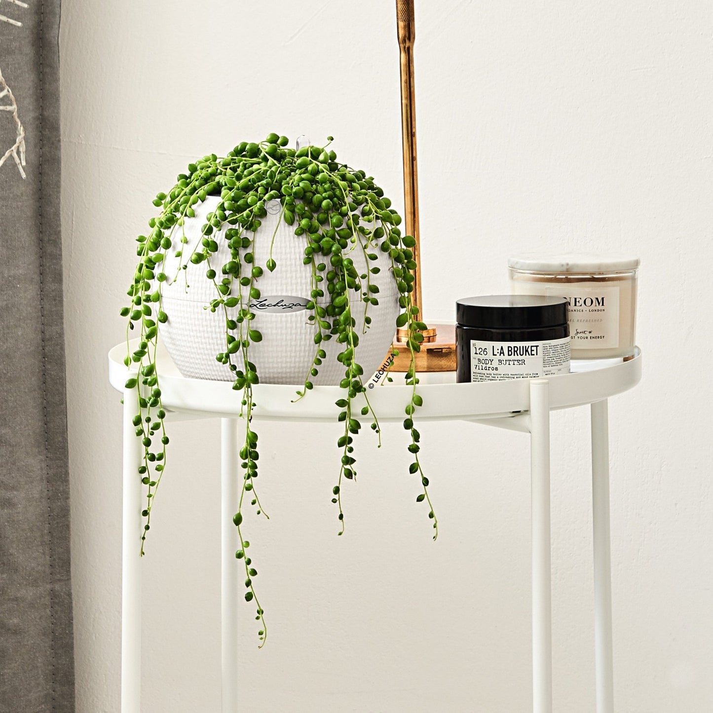 PURO Color 20 - mazeproducts