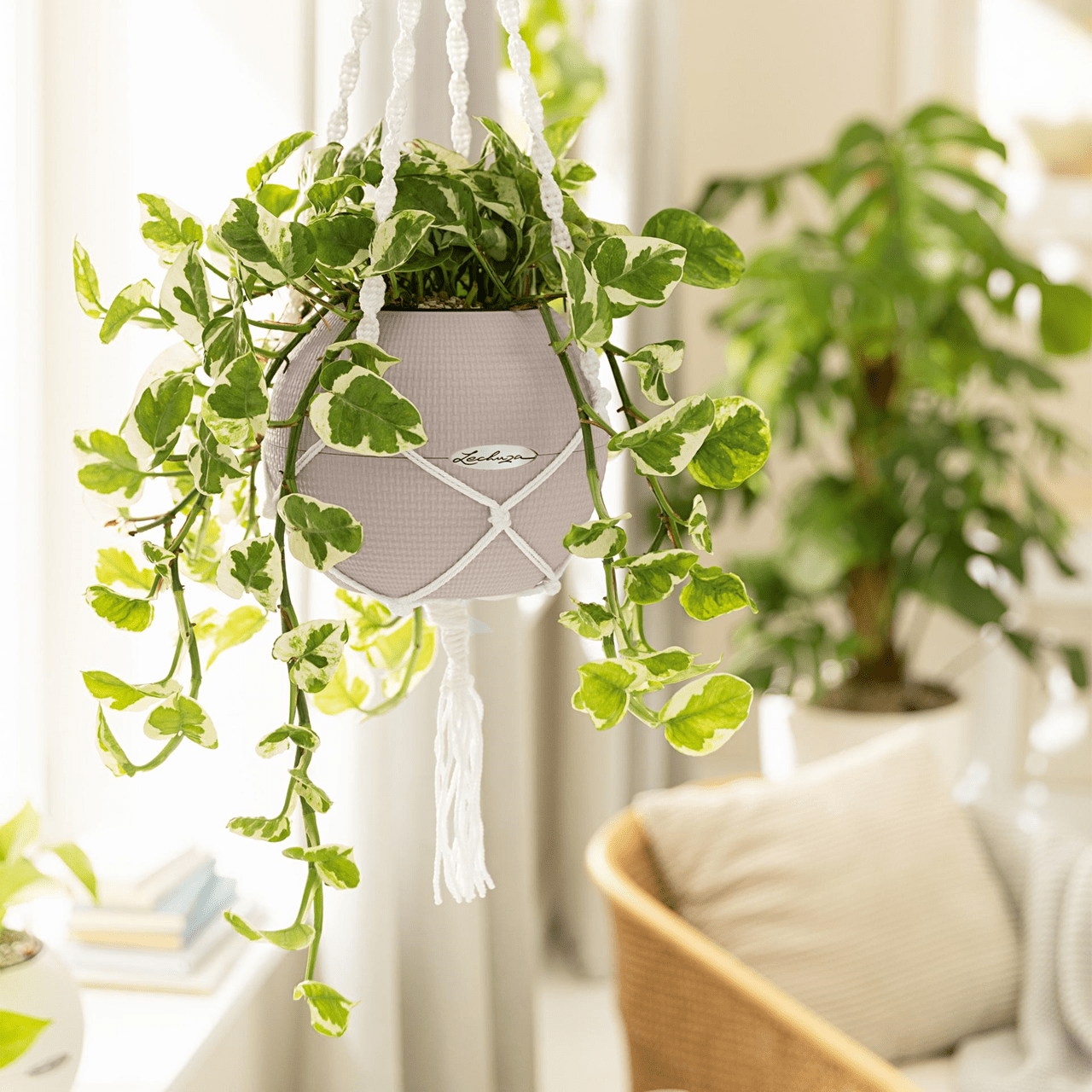 PURO Color 20 - mazeproducts