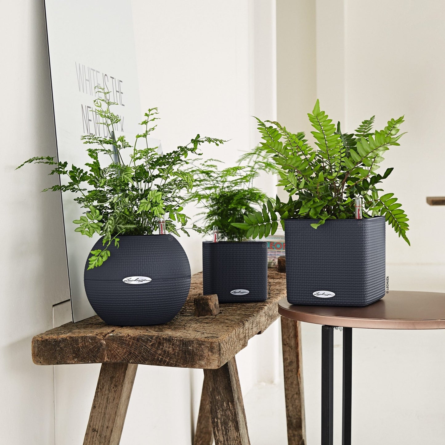 PURO Color 20 - mazeproducts