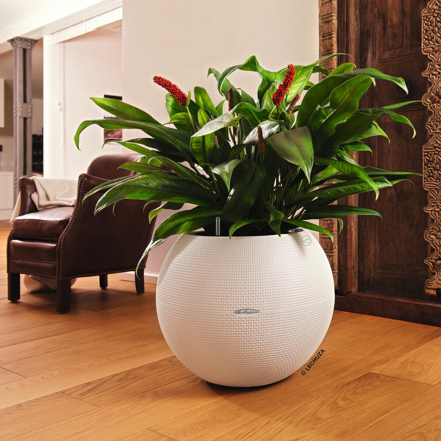 PURO COLOR 50 - mazeproducts